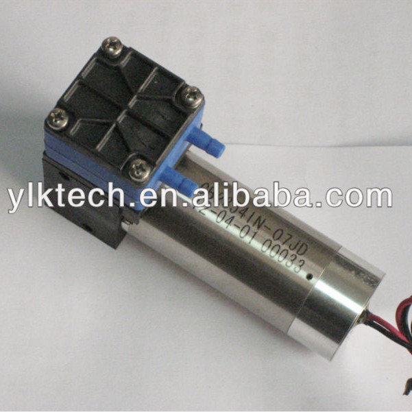 微型泵 厂家直销DL300EEDCB微型耐腐蚀采样泵 供应批发抽液隔膜泵