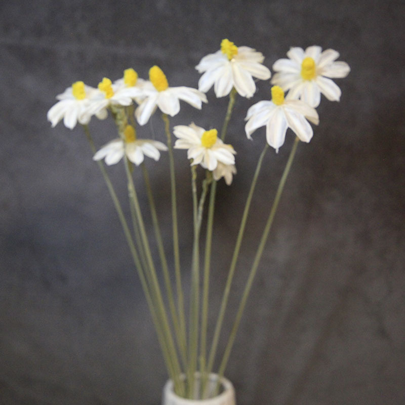 Flor seca Flor eterna Gypsophila Bola de oro No me olvides Flor seca Rosa hoja de eucalipto Pine Fruit Lover Grass al por mayor