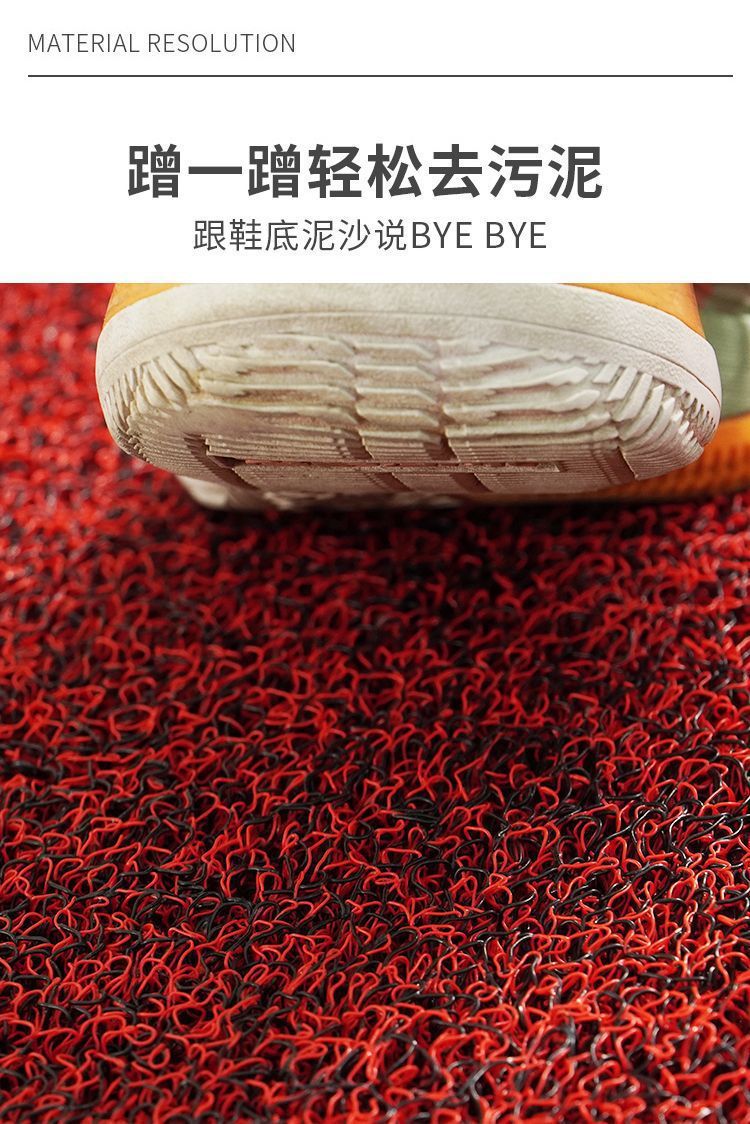 Thickened Silk Loop Floor Mat for Entryway, Customizable Door Mat, Entrance Door Mat, Carpet, Car Mat