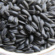 �Ϳ�������С���������»�500g�Ϳ�������������Ϳ������ӿ�����