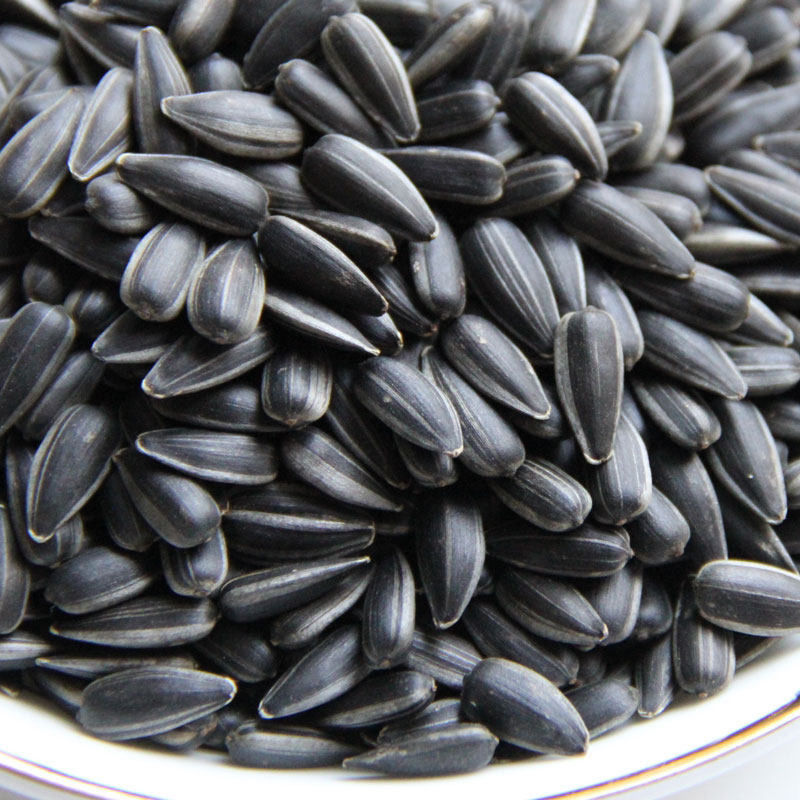 Oil sunflower black pearl small melon seeds high quality new 500g oil knock spiced melon seeds bird grain oil sunflower seeds sunflower seeds