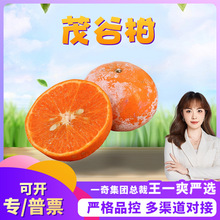 �����x���V��ï�ȸ� ֭��ζ�� ���r���� ����ˮ�����l ���ָ�