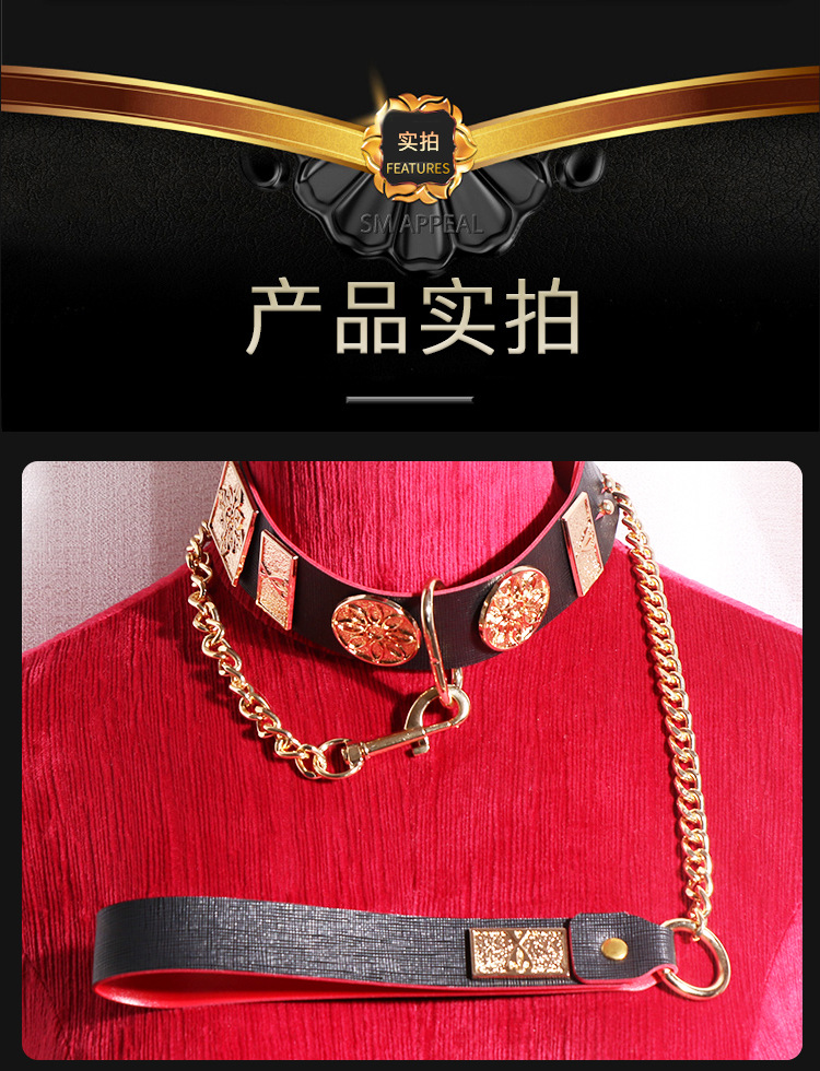 Jiuai SM Collar with Flying Fish Chain Set, Metal and Leather Bondage Kit for Couples — detail image 27