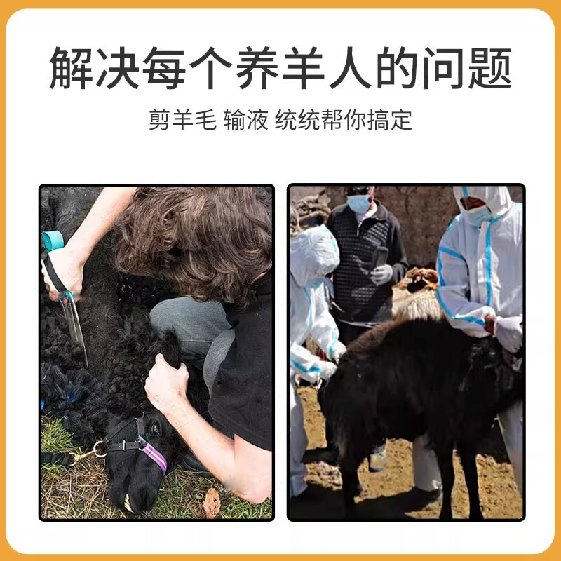 羊頭固定具、羊用ケージ、羊持ち上げ用フック、羊毛固定具、注射保定架、羊頭ブラケット|undefined