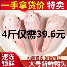 新鲜4斤大鸭头生鸭头干锅麻辣鸭头冷冻鸭货卤味食材生鲜商用其他