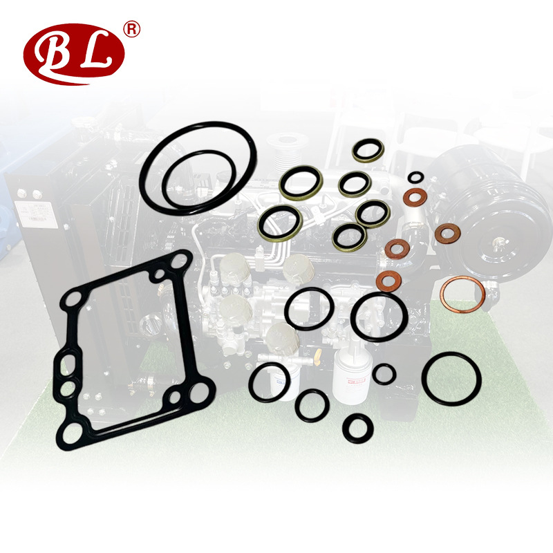 厂家直销Yamars X6泵头修理包用于X6发动机零件的燃油泵修理包