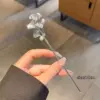 Серебристые абрикосовые листья