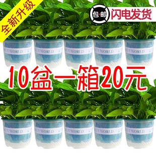 180��G�}���Ի������lˮ���L�پG�}�҃ȾGֲС�G�j����ȩС����