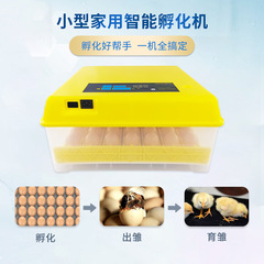 One-touch egg incubator, 56 eggs, dual power supply, home mini incubator for chickens, ducks, geese, quail, fully automatic incubator box