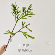 ɽ���۬F؛���l���滨����ɳ���ɼҾ��b����k���ҘӰ��g�廨�[