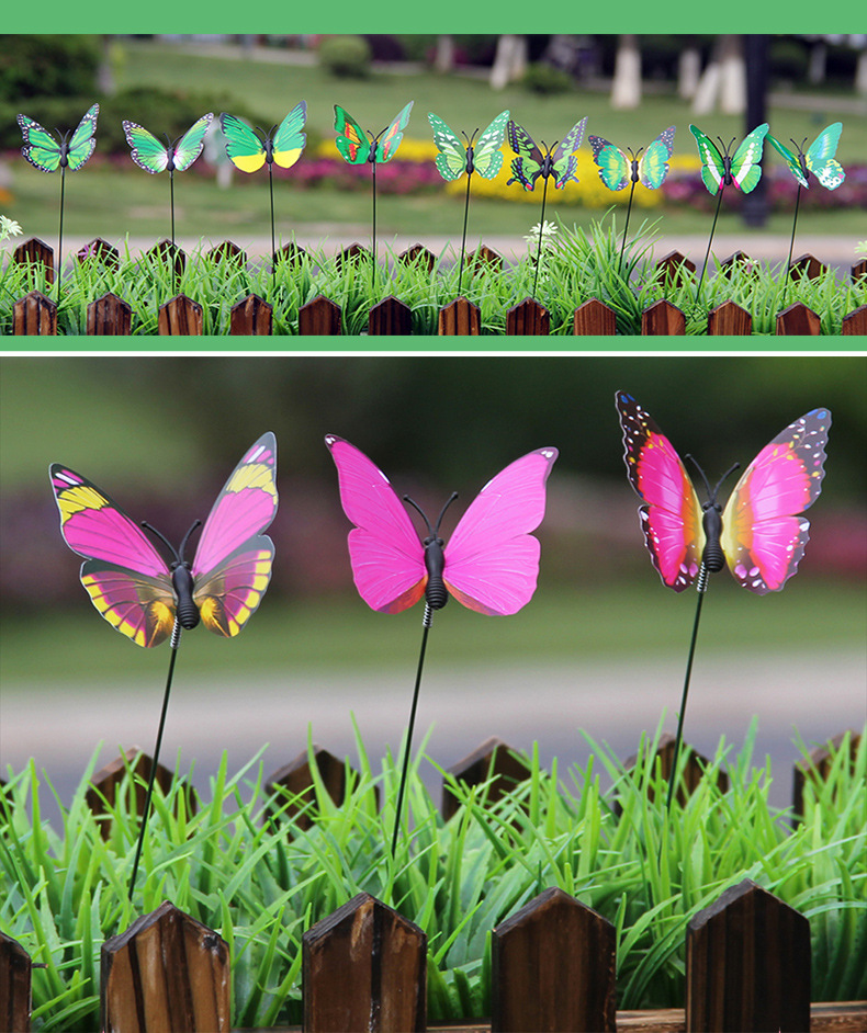 插杆蝴蝶_15.jpg