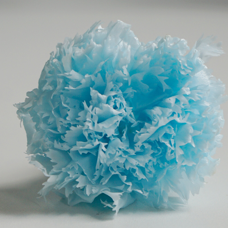 Azul claro 3-4cm10 flor/caja