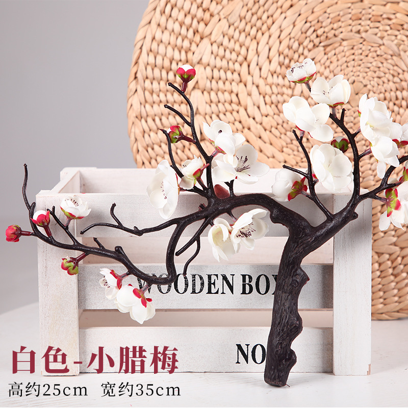 백분재 윈터스윗