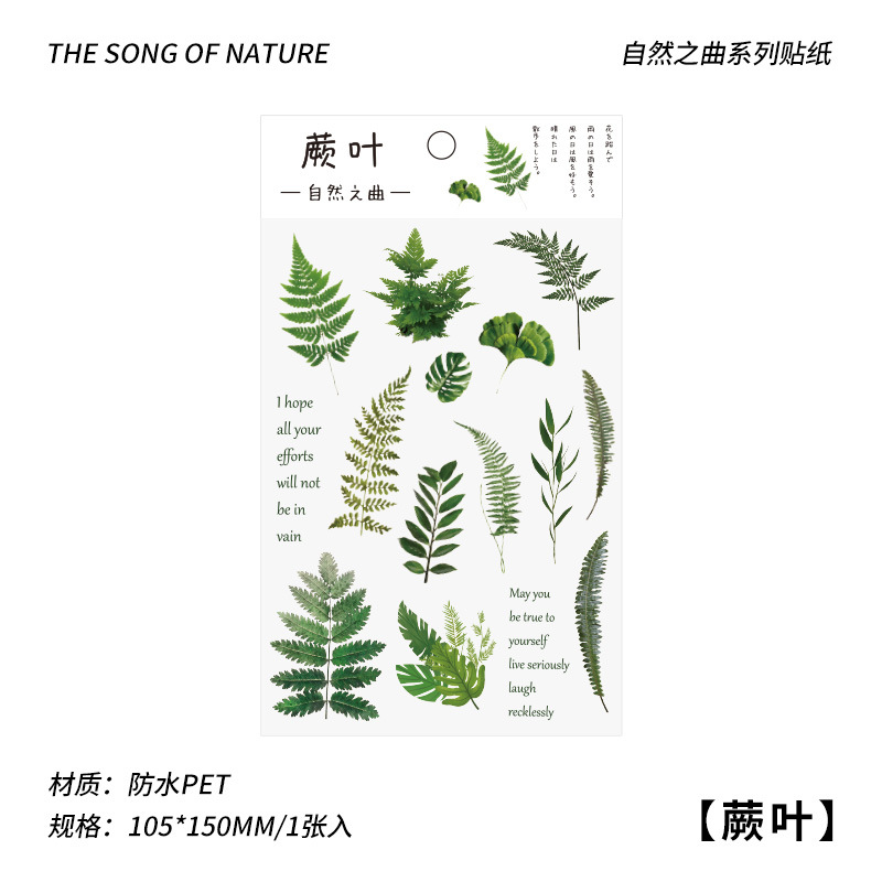 Cuenta de mano pegatinas para mascotas papel Net serie de sal roja Planta Fresca mano cuenta Material pegatinas decorativas retro flor DIY pegatinas