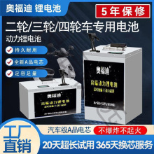 寧德時代電動車鋰電池72V外賣電動車60V鋰電池兩輪三輪48V鋰電瓶
