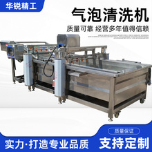 果蔬气泡清洗机 辣椒叶菜水果蔬菜清洗设备 柑橘高压气泡清洗机
