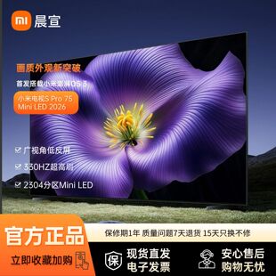 �ҕS Pro 75 Mini LED 2026