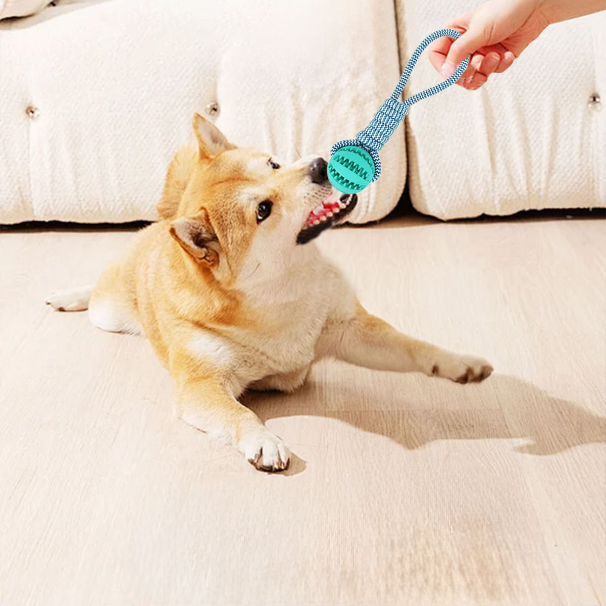 Gioco per cani anguria con corda da tiro e dispenser snack_voghion.com