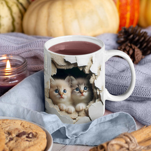 ���R�d���NCat؈��3D�D�����R�˱��k�����ÌW����Ϳ��Ȳ�ˮ��
