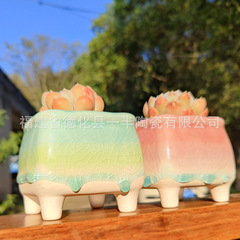 韓国式流釉薬氷裂多肉植木鉢創意清新白陶控養チーズ氷玉吸水通気性肉植物