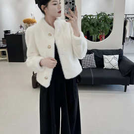 秋冬季新款皮毛一体短款水貂绒外衣仿貂皮环保皮草毛毛外套女