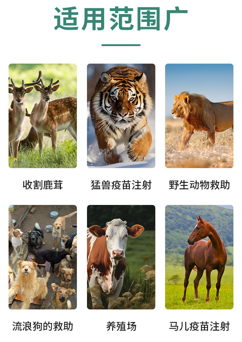 详情1_03.jpg