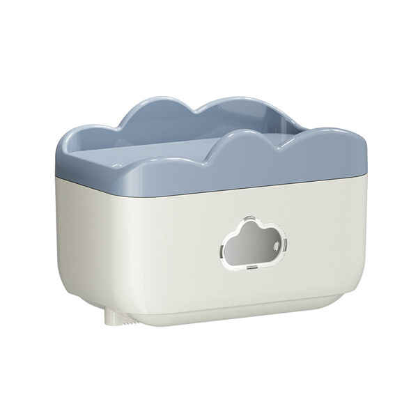 Bathroom tissue box