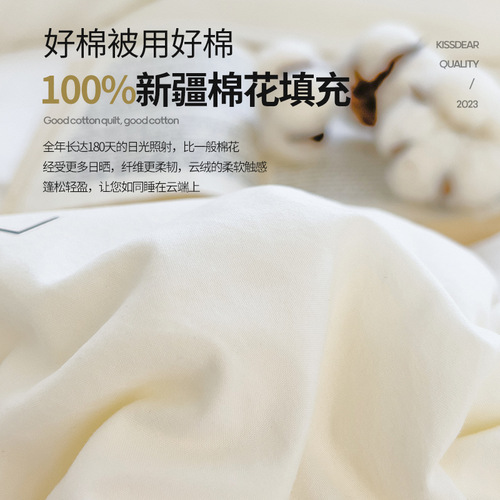 A-type pure cotton winter quilt core, thickened warm full cotton filling, student dormitory single bed set for spring and autumn, wholesale