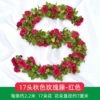 17 autumn rose vine red