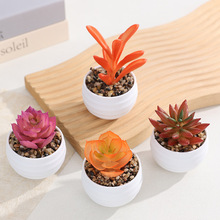 仿真多肉植物陶瓷盆景 家居办公窗台小清新装饰 舒适身心迷你跨境