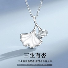 2025���������Ұ�ؐĸ��Ů�p�ݸ��y���~�ʽ��i������˹�С��