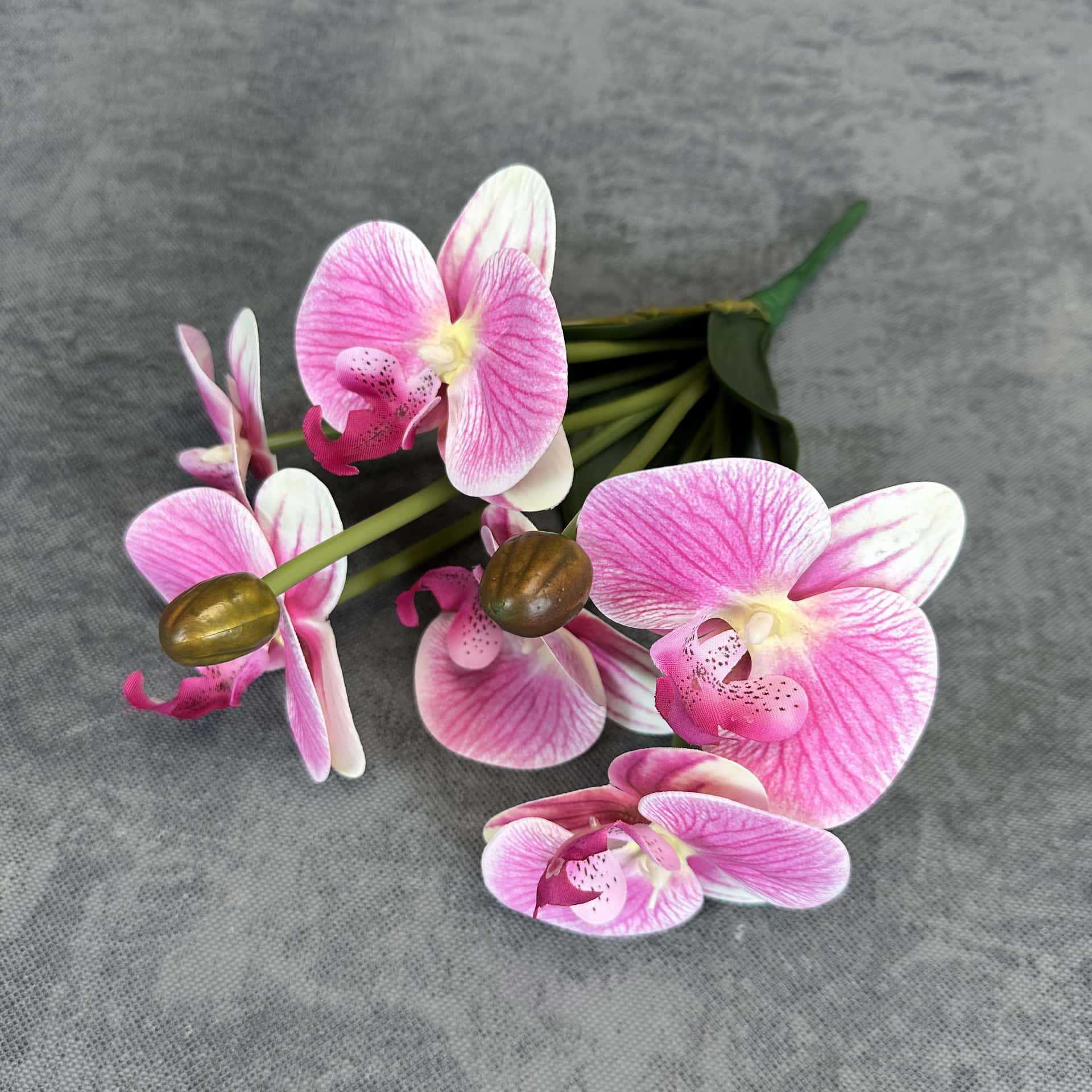 Simulación de impresión 3D orquídea mariposa en maceta decoración de la sala de estar accesorios adornos de flores falsas transfronterizas al por mayor