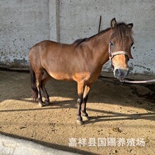 �T���R�r��S�ҳ��۰������R �±�С���R �����R �ɹ��R