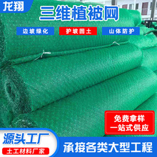 ���Sֲ���W�G��ֲ�ݾW߅�¹����Gɫֲ���W�o�����B���S�����W�|