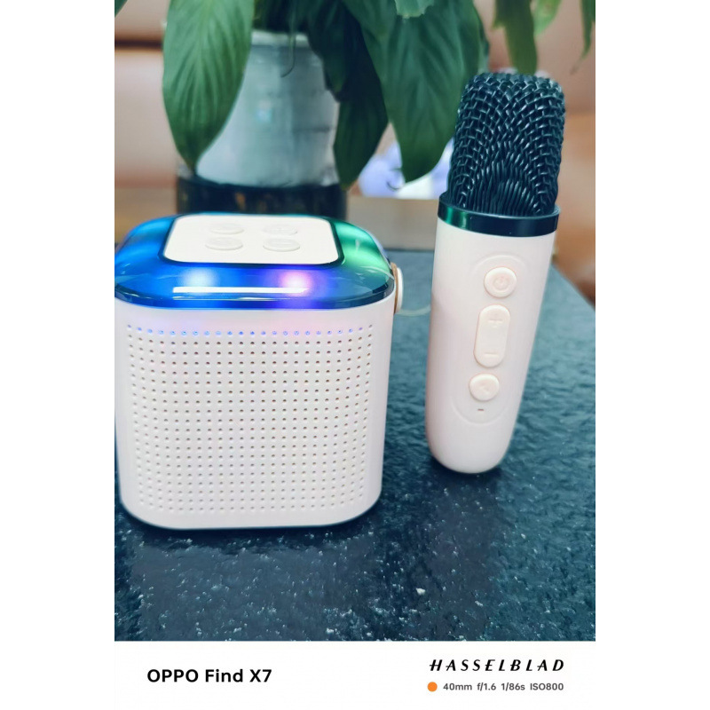 跨境亚马逊新品Y1蓝牙音响K歌套装无线话筒麦克风迷你蓝牙音箱|undefined