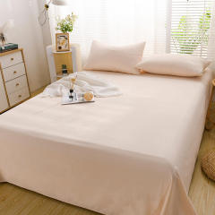 2024 new cotton type A 40 count brushed solid color bed sheets 100 pure cotton bed sheets single product Xinjiang cotton simple set
