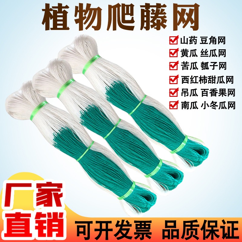 爬藤网 厂家供应农用园艺黄瓜植物网 果蔬山药豆角加粗黄瓜网