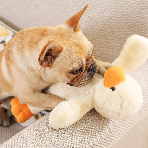 Dog toys chew toys pet toys Huayuan wholesale pet supplies dog plush toys