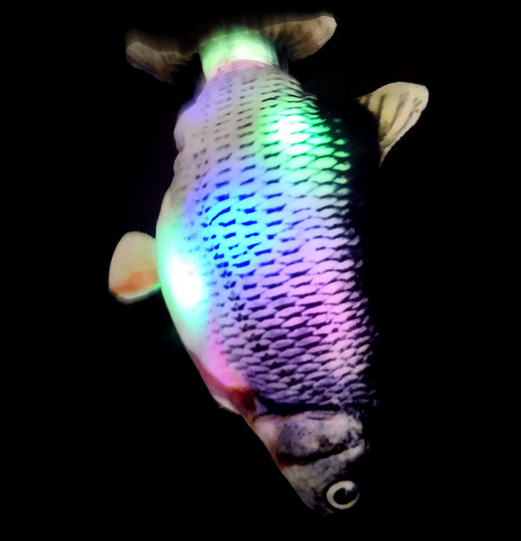 16011411346_1616626428