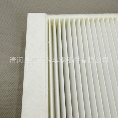 filter element A1668300218 – Air conditioning filter