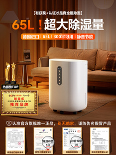 Dehumidifier for Home Use, Silent Dehumidifier for Bedroom, Air Dryer for Basement, Moisture Absorption for Humid Weather