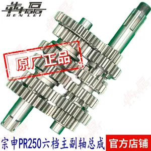 Zongshen Secolon Pr250 Pa2 Sr250-12 Altı Sürətli Daxili Balans Valı Mühərrik Qovşağı