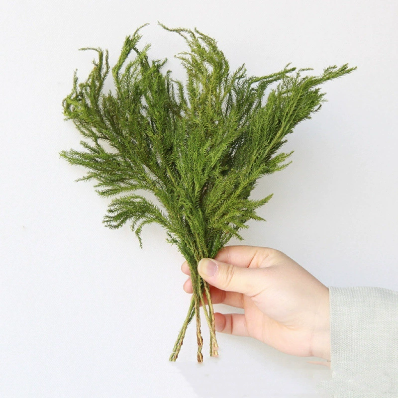 DIY фруктовая раковина Pinecorus деревянный кусочек лист сухоцвета фруктовое сочетание Рождество установленный детский сад украшение винтажное предложение