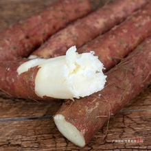 �ؿh�����F��ɽș���Ͻ�����ɽș���a�a�F�U��ɽș���r��Ŵ���^