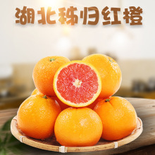 湖北秭归红血橙橙 代发3斤新鲜红肉橙甜橙子当季孕妇水果非塔罗科