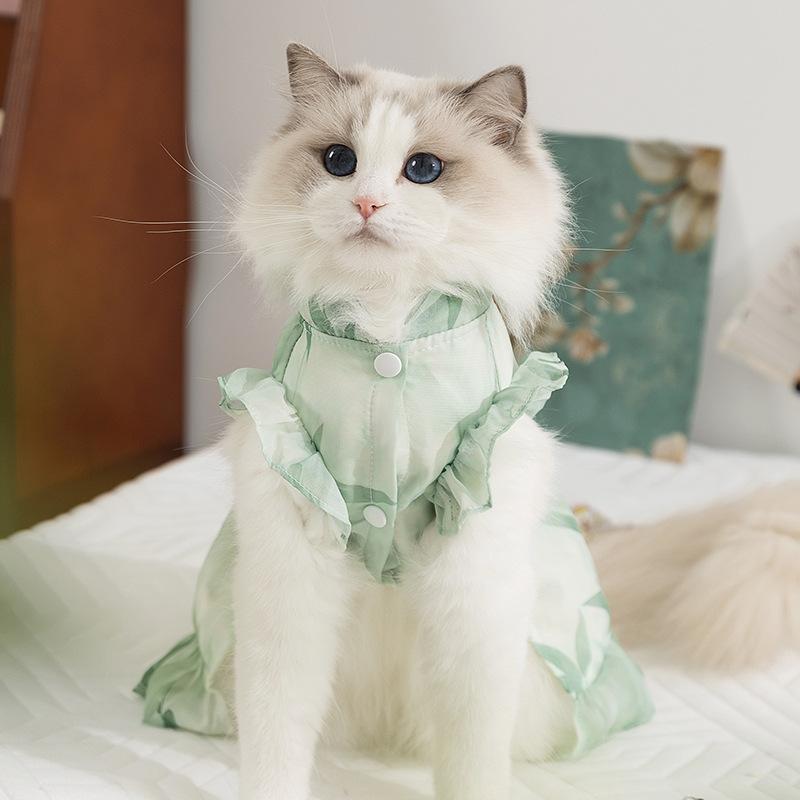 Gato primavera y verano estilo chino tinta Danqing vestido chino falda china gatito retro hoja de bambú ropa de gato mascota