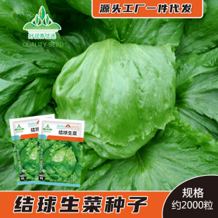 �S�����l�Y�����˷N�����ɳ���A���˷N���ļ������˴����＾����