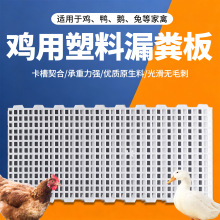 鸡用漏粪板家禽网格栅塑料漏粪脚垫养鸭鹅鸡鸽漏屎板地垫鸡舍地板