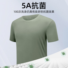 80锦纶20氨纶t恤印字logo轻盈5A抗菌圆领速干广告文化衫工作服DIY