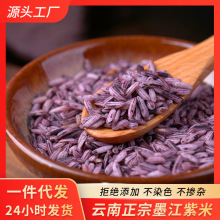 云南墨江紫米老品种更软糯富含花青素500g真空包装大货批发